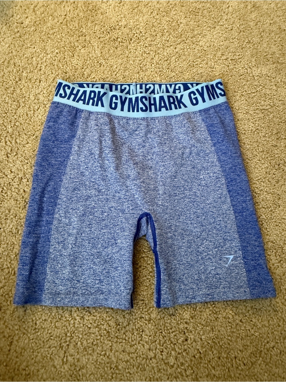 Gymshark Blue Seamless Women's Bike Shorts